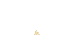 THE-B-COMPANY-LONG-WHITE (2)